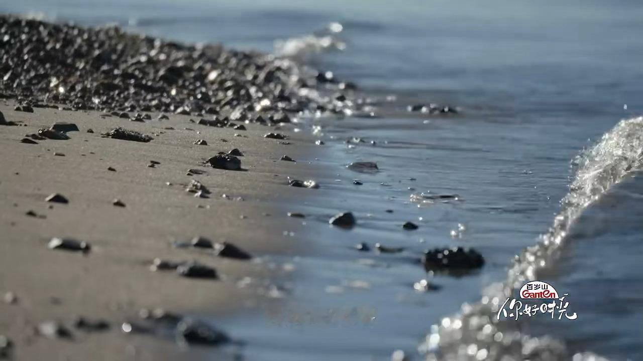 你好时光青海宣传片电影感风雨草原，高原相逢，《你好时光》青海宣传片捕捉土地的苍茫