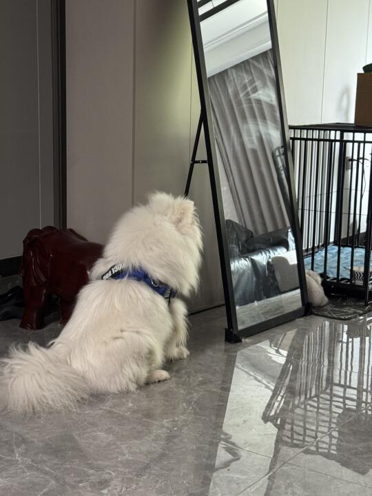 耶耶：你怎么吃得这么慢 馋西我了