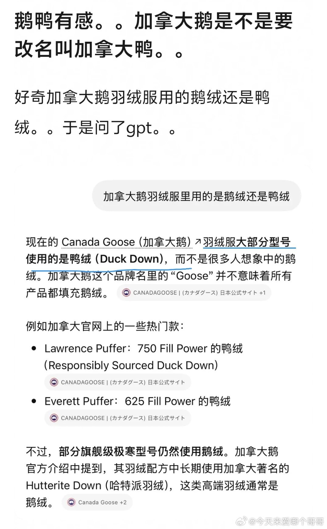 鸭鸭满门忠烈 