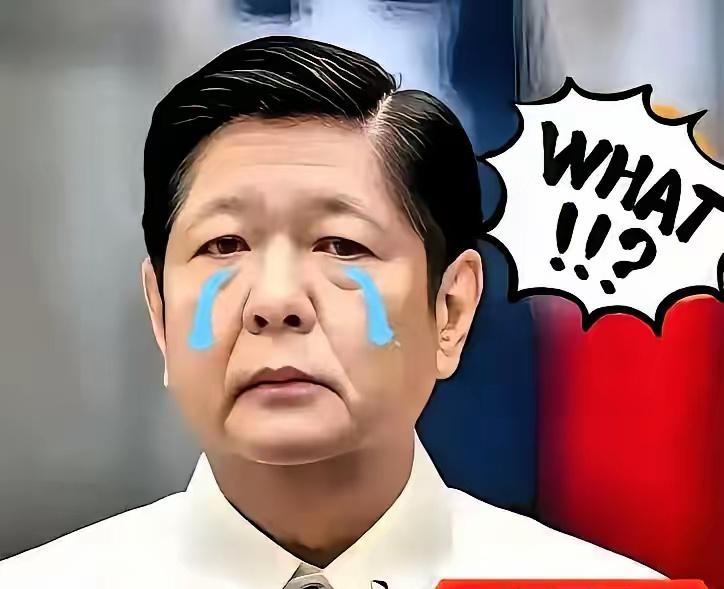 就在刚刚
菲律宾正式宣布
11月11日，菲律宾国家减灾管理委员会最新通报，台风“