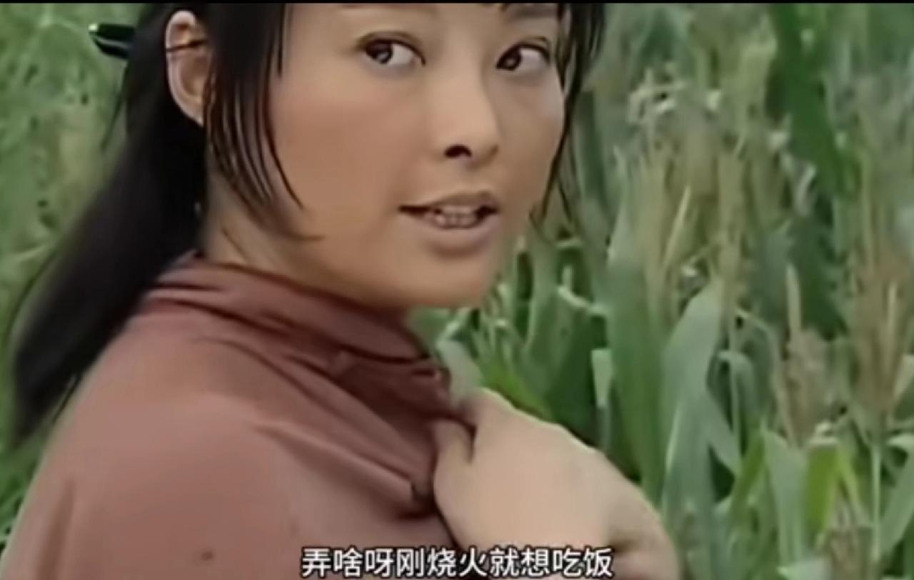 宝林和长乐在玉米地里，这画面太有冲击力了。
别急着批判，这背后是乡村情感的回归。