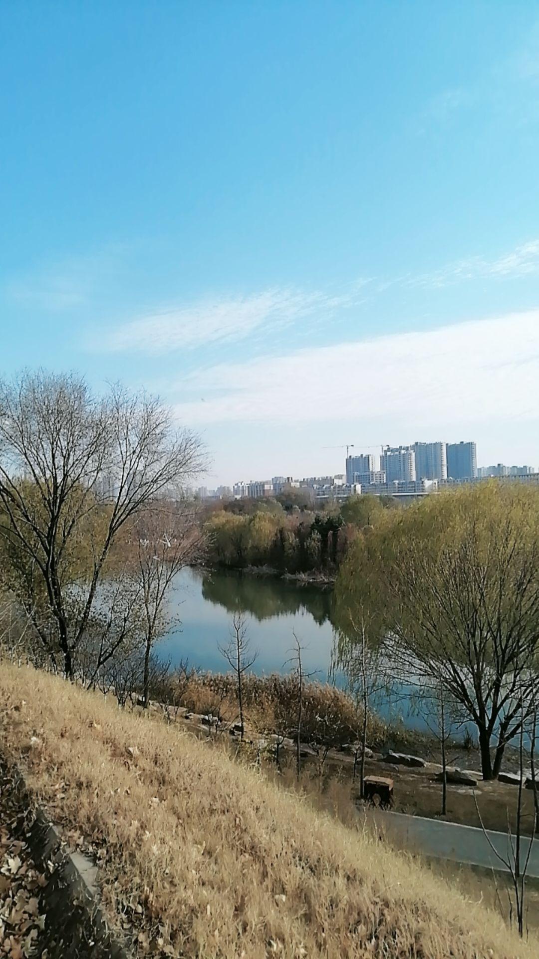 纪录美好生活 冬日生活打卡季