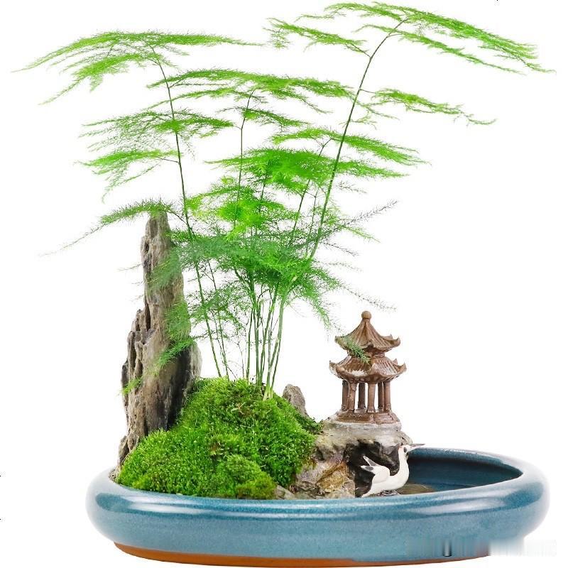 成年人学英语口语是有许多优势的，只是要把学习方法调整到正确的方向。首先，成人都有