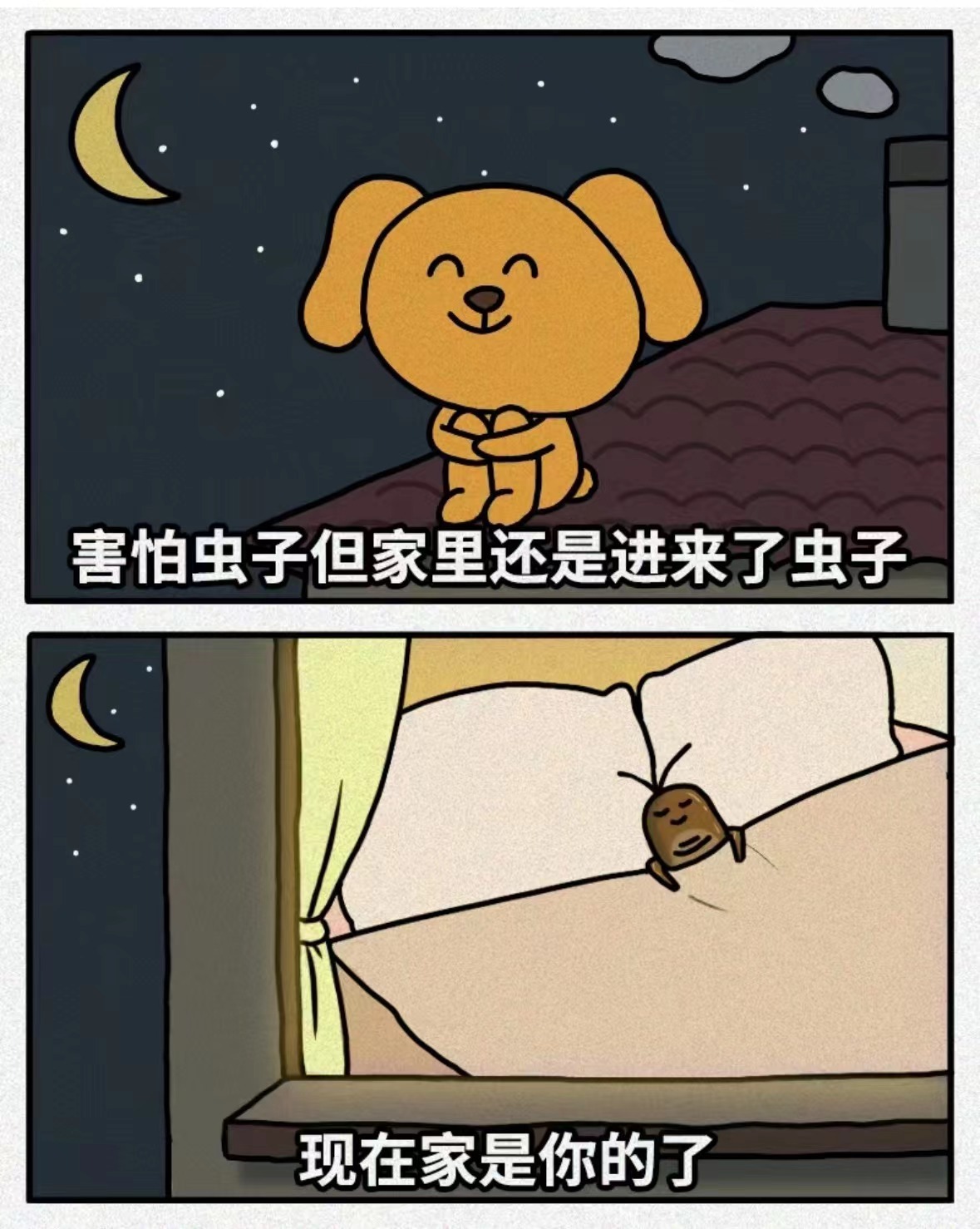 #每天一条冷知识# 蜱虫一生就吸3次血、吃3顿饭，平常多数时候待在土里面，所以很