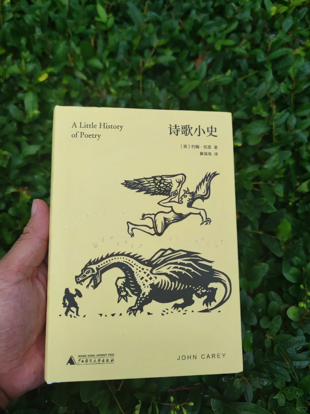 诗歌小诗:不进这本书，不好意思说是名诗人