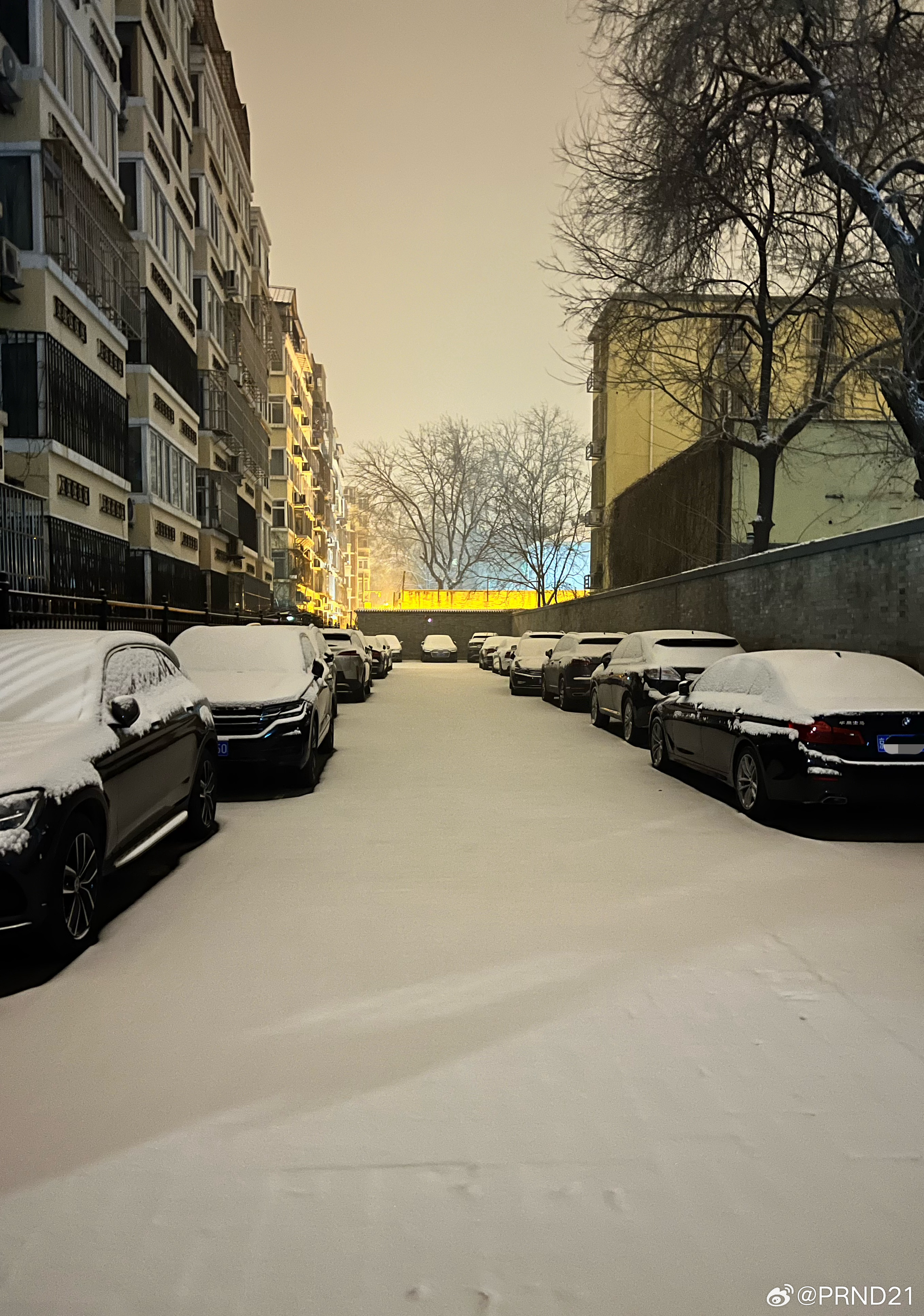 #北京下雪# 夜里的一点快乐雪和快乐夜宵………这个雪捏雪人很棒的[开学季]…… 