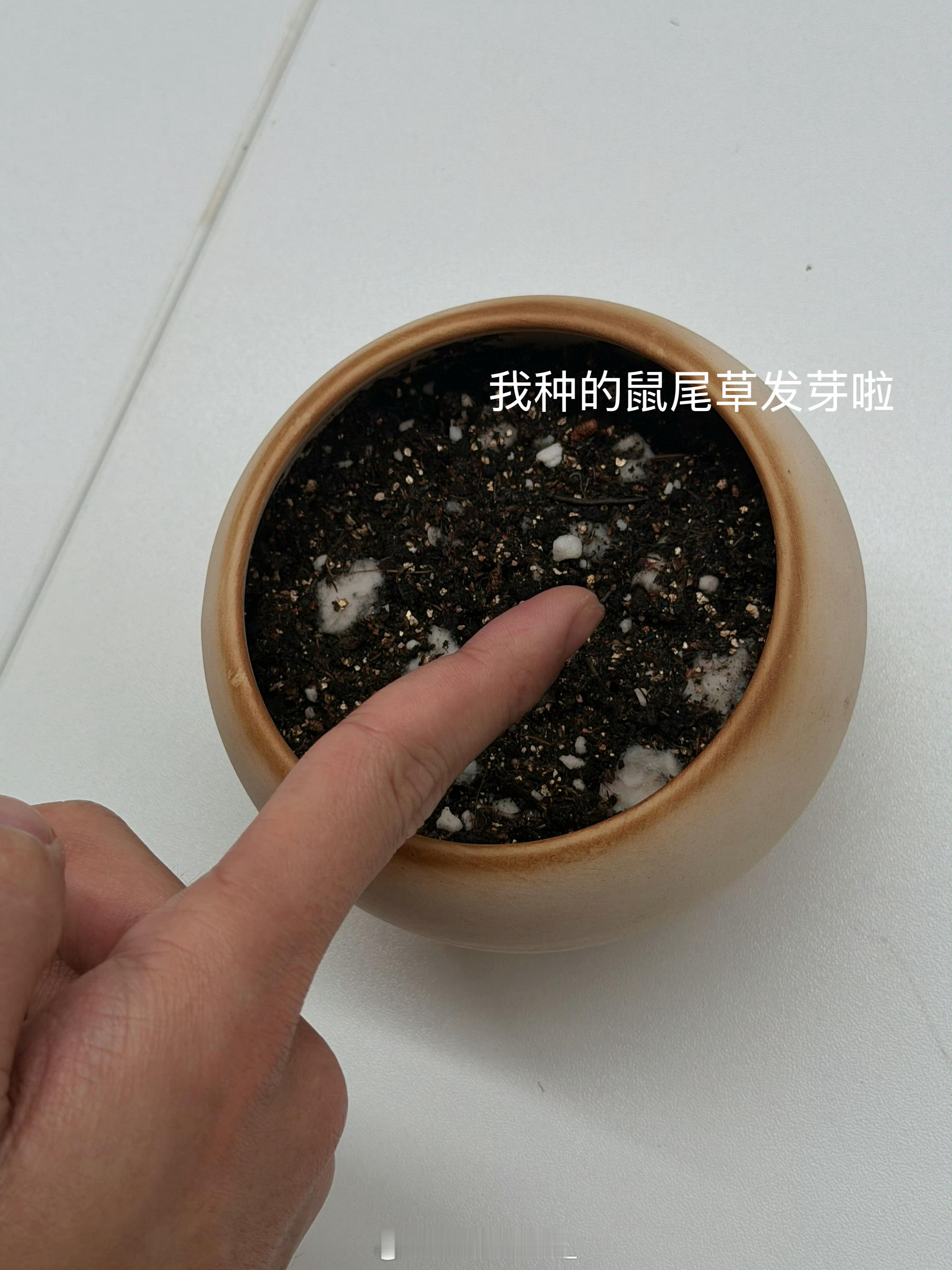 心软软[拜托][拜托] ​​​