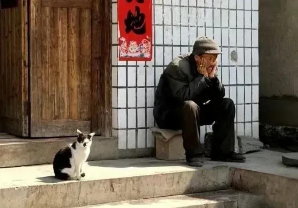 微文：活着与续命
过年倒计时，女儿微我：“老爸，过年了，还缺点什么？”
“什么也