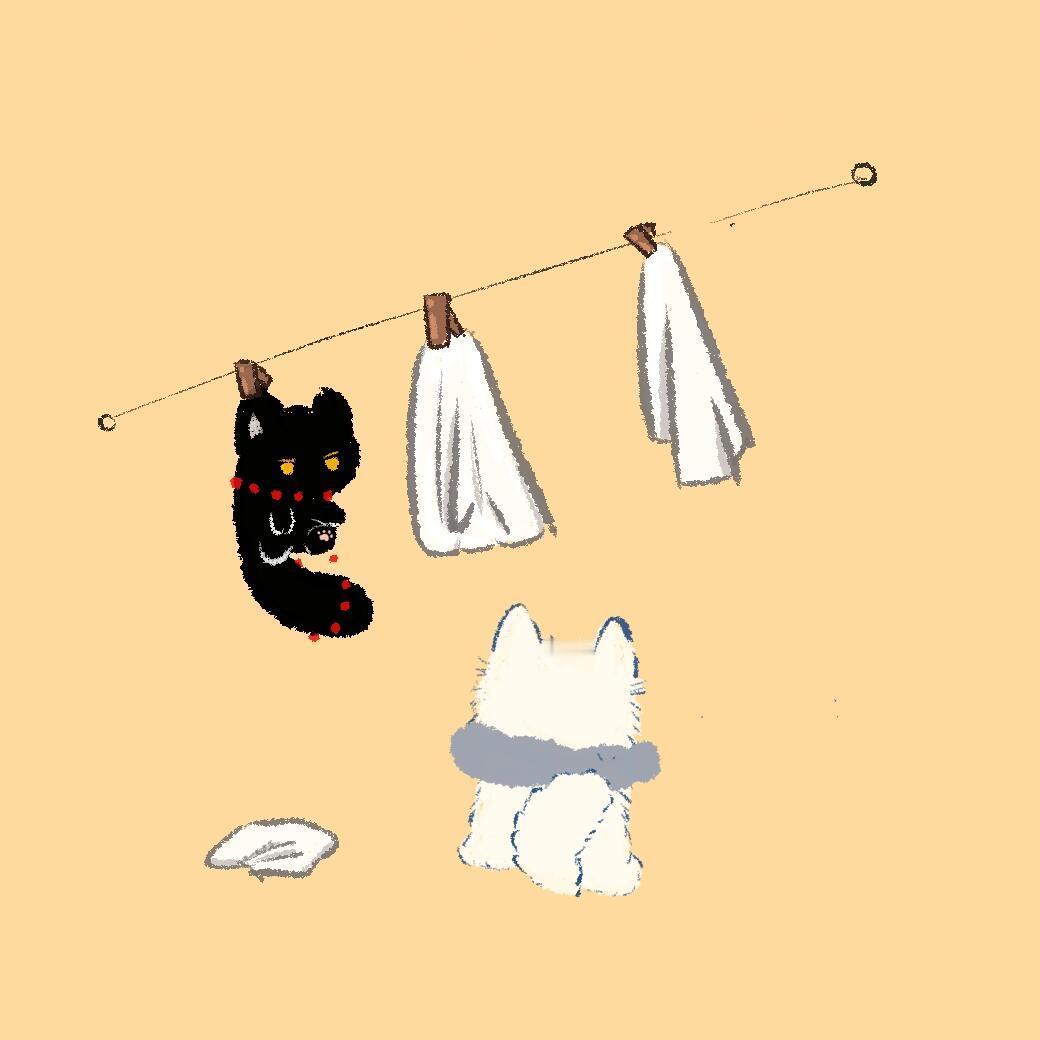 传下去，三更猫偷天泉浴巾燕云十六声 ​​​