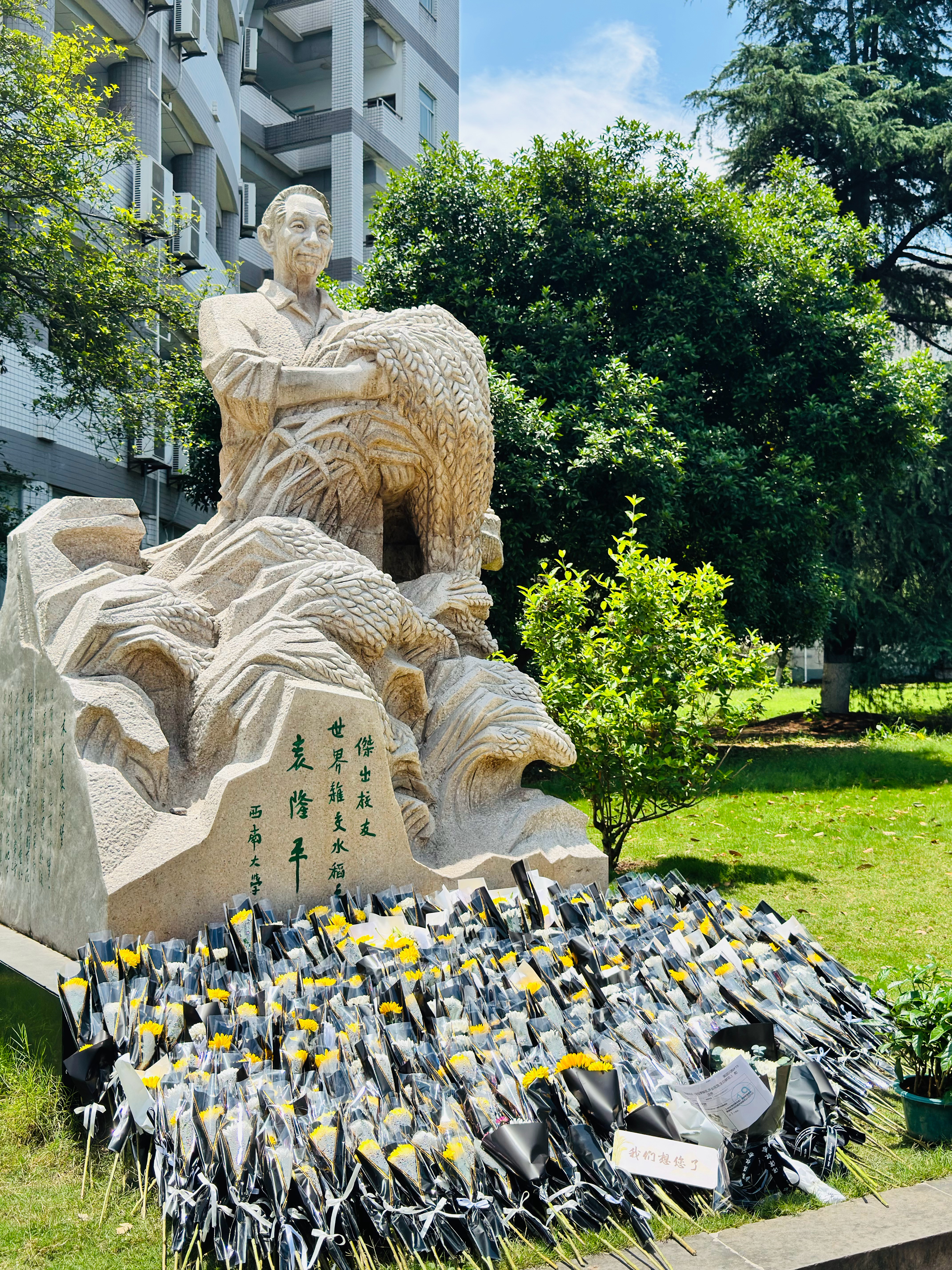 回西南大学骑车转转恰逢杰出校友袁隆平逝世四周年🙏  ​​​