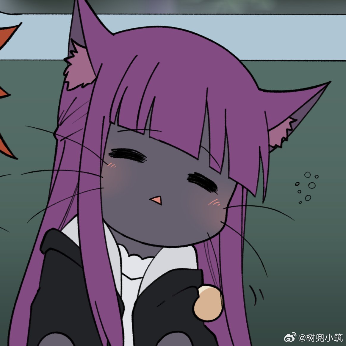 葬送的芙莉莲 菲伦猫猫的犯困时刻💜紫毛猫耳 + 昏昏欲睡的小表情，连空气都变得