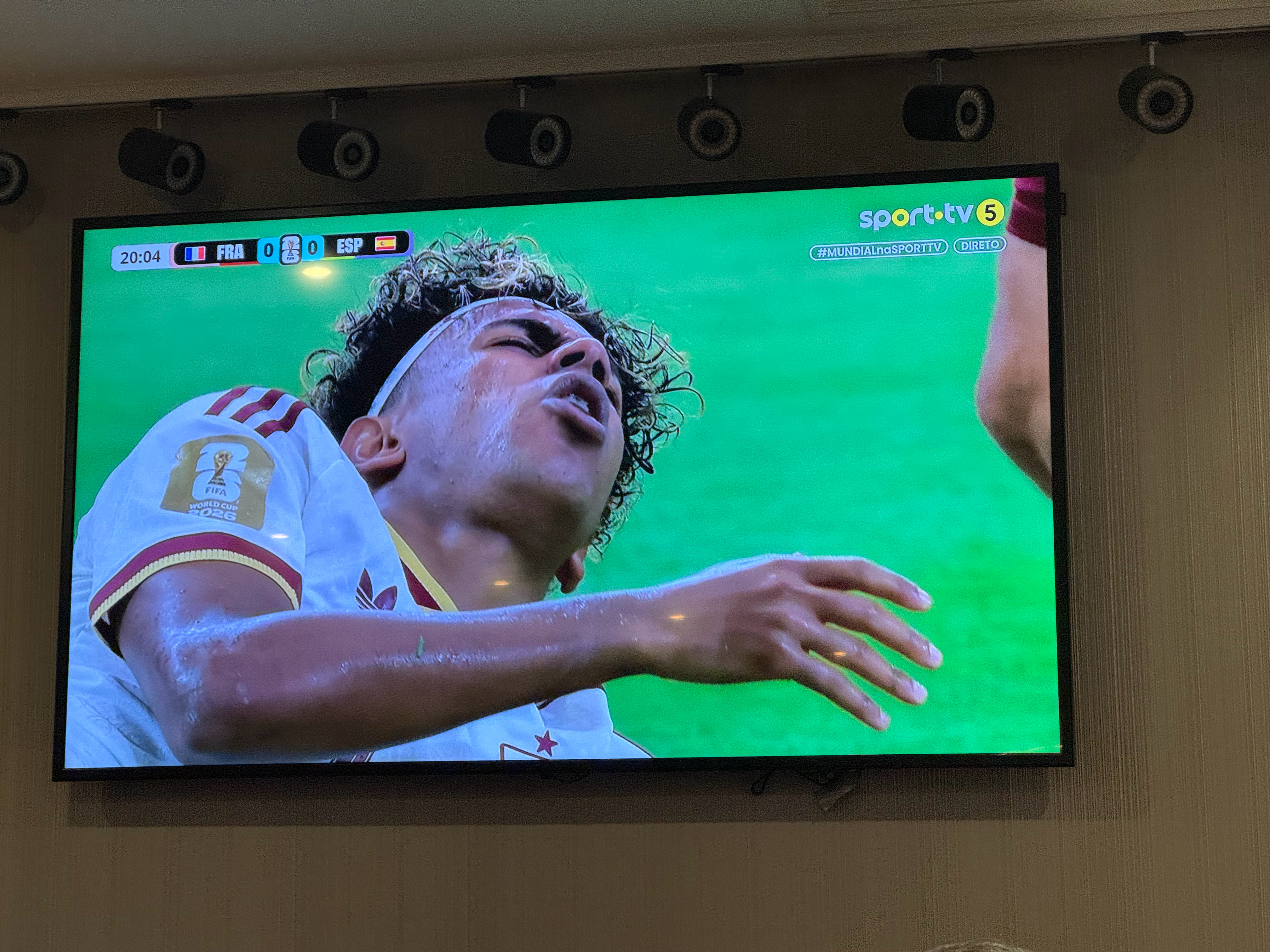 西班牙VS法国世界杯 看着都疼 