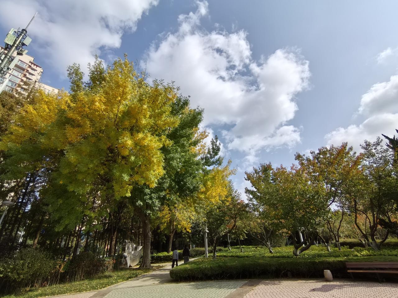 53岁的今天，nice

这两张图是同一个地点拍的。

图一是今年10月份，图二