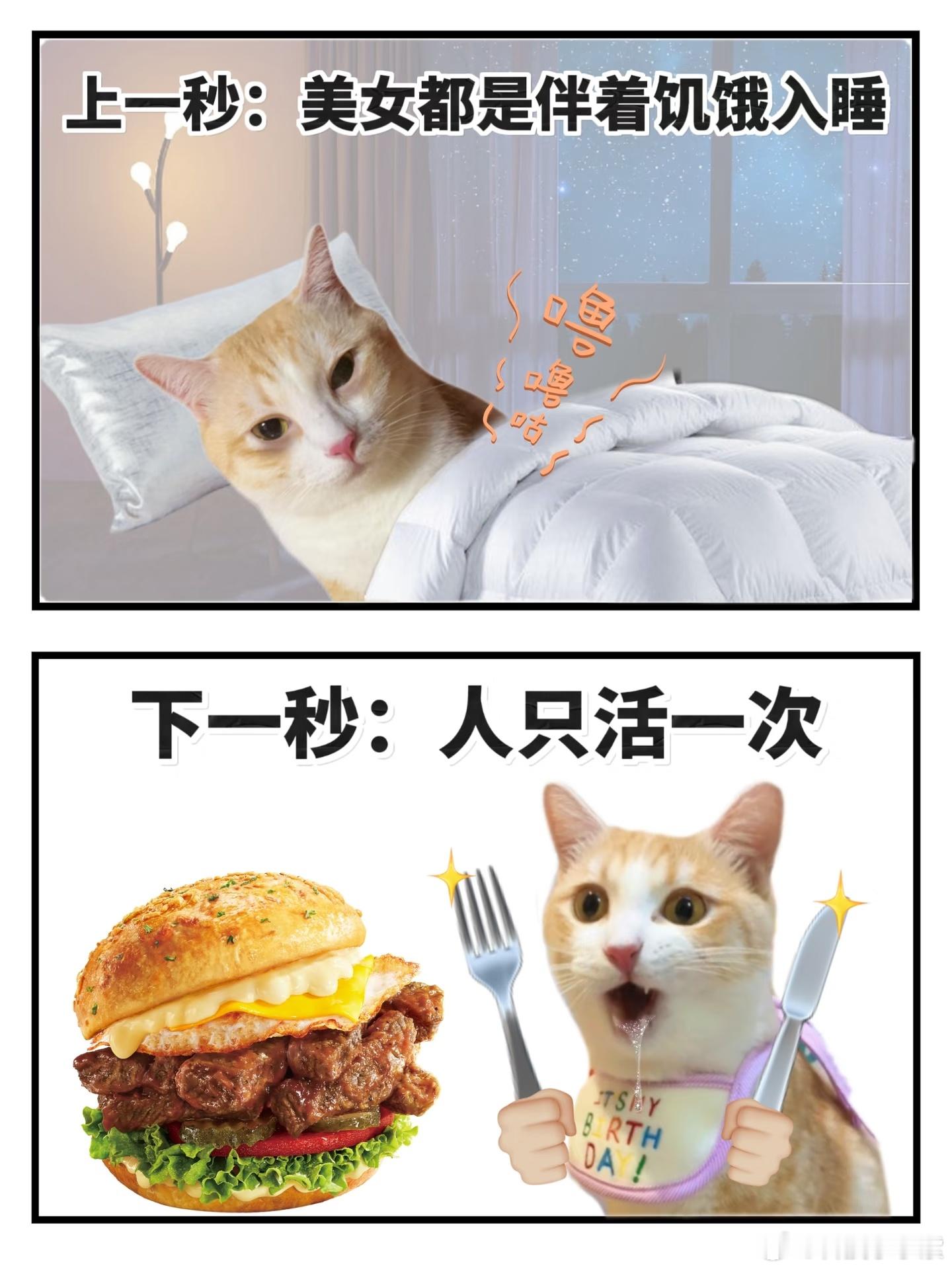 原来这就是小鸟胃啊那我是不是也可以说自己说小鸟胃了