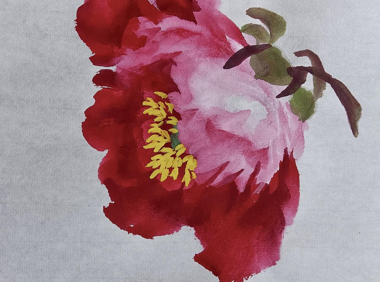 一朵牡丹花