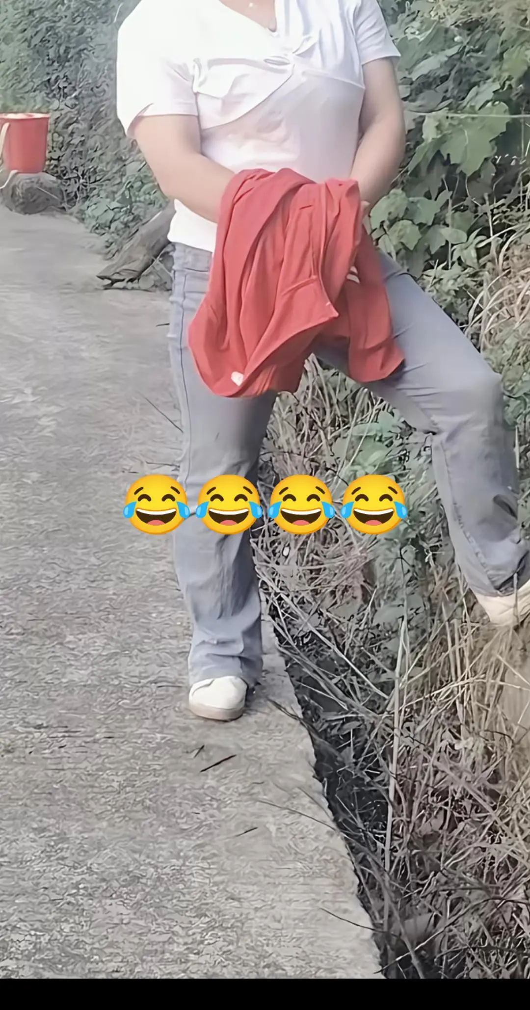 每日推文