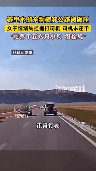 “活该不牵狗绳！”新疆赛里木湖，一男子开车在公路上正常行驶，突然从旁边窜出一条宠