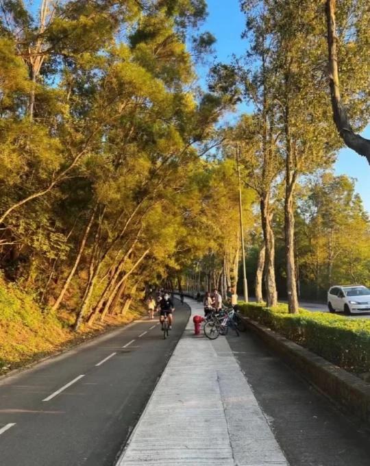 🇭🇰 后劲太大了！香港最美沿海骑行路线🌊🚴
每年港村的三四月、十月十一月