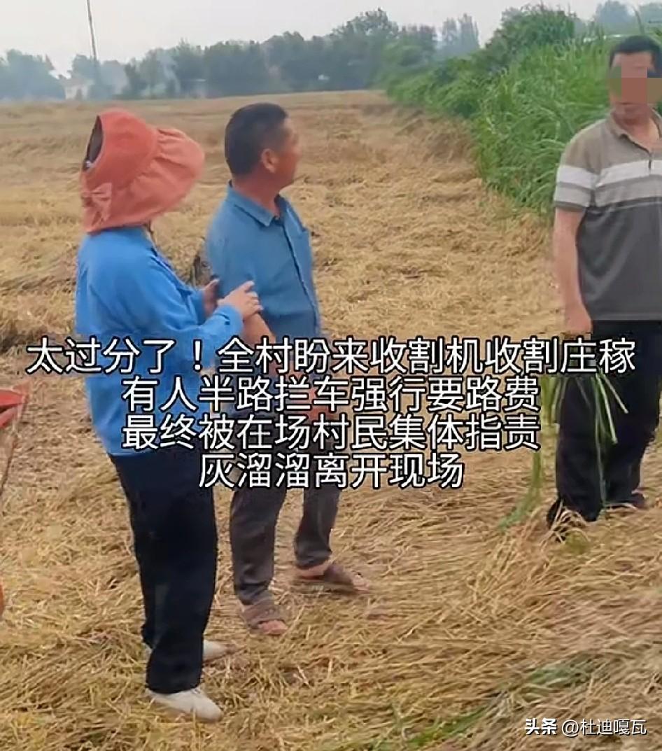 真的是一颗老鼠屎坏了一锅汤！全村人好不容易盼来了收割机，却被个别人拦在路中间索要