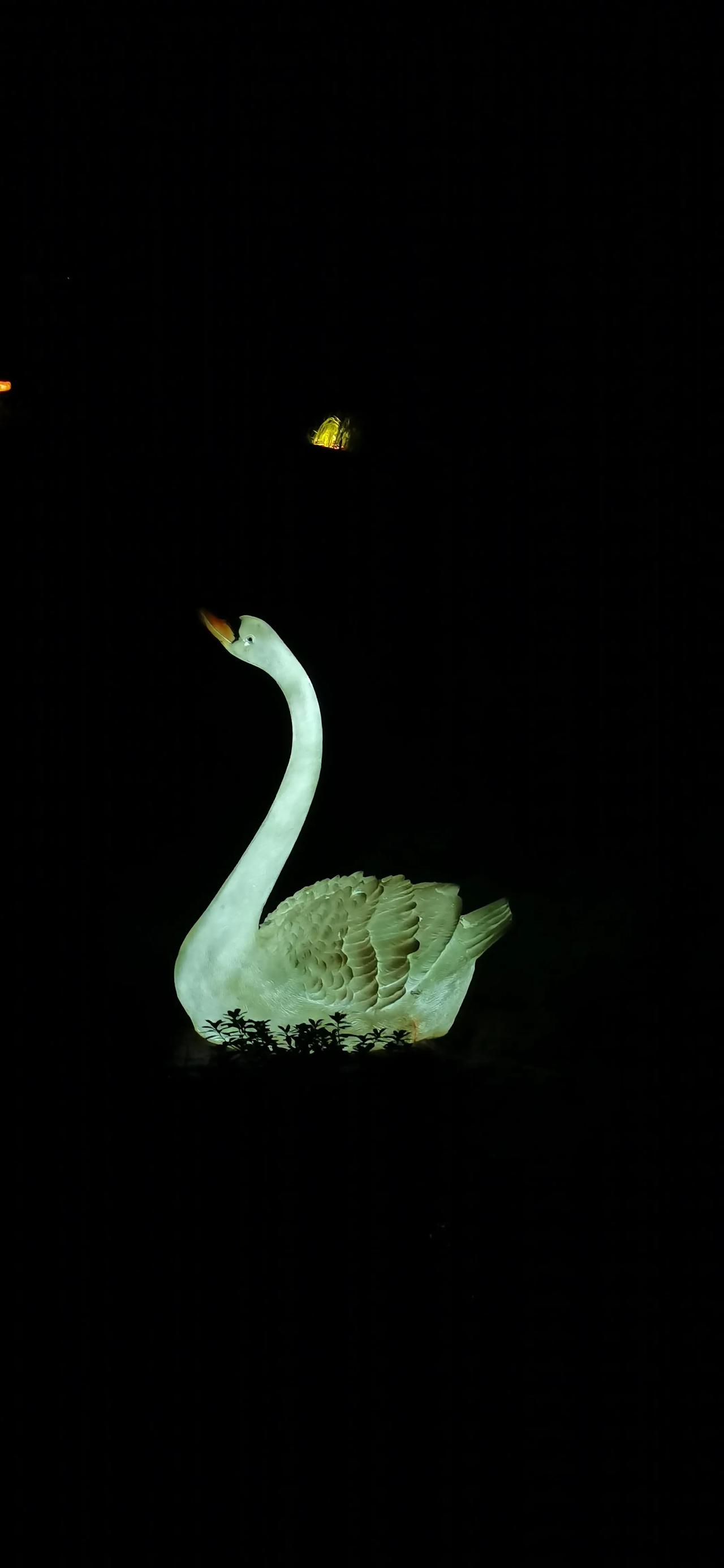 灯光下的大白鹅、大公鸡🐓和小鹿栩栩如生，看着十分可爱。#秋日生活打卡#