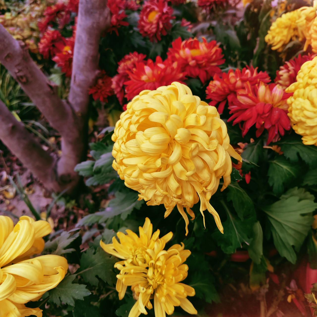 老人就像家里边的指向标一样。嗯，你对老人怎么样，孩子也会学习怎么样？