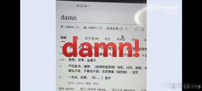 当代年轻人的年度词汇是它  2024年度词汇是damn 友友们，2024 年“d