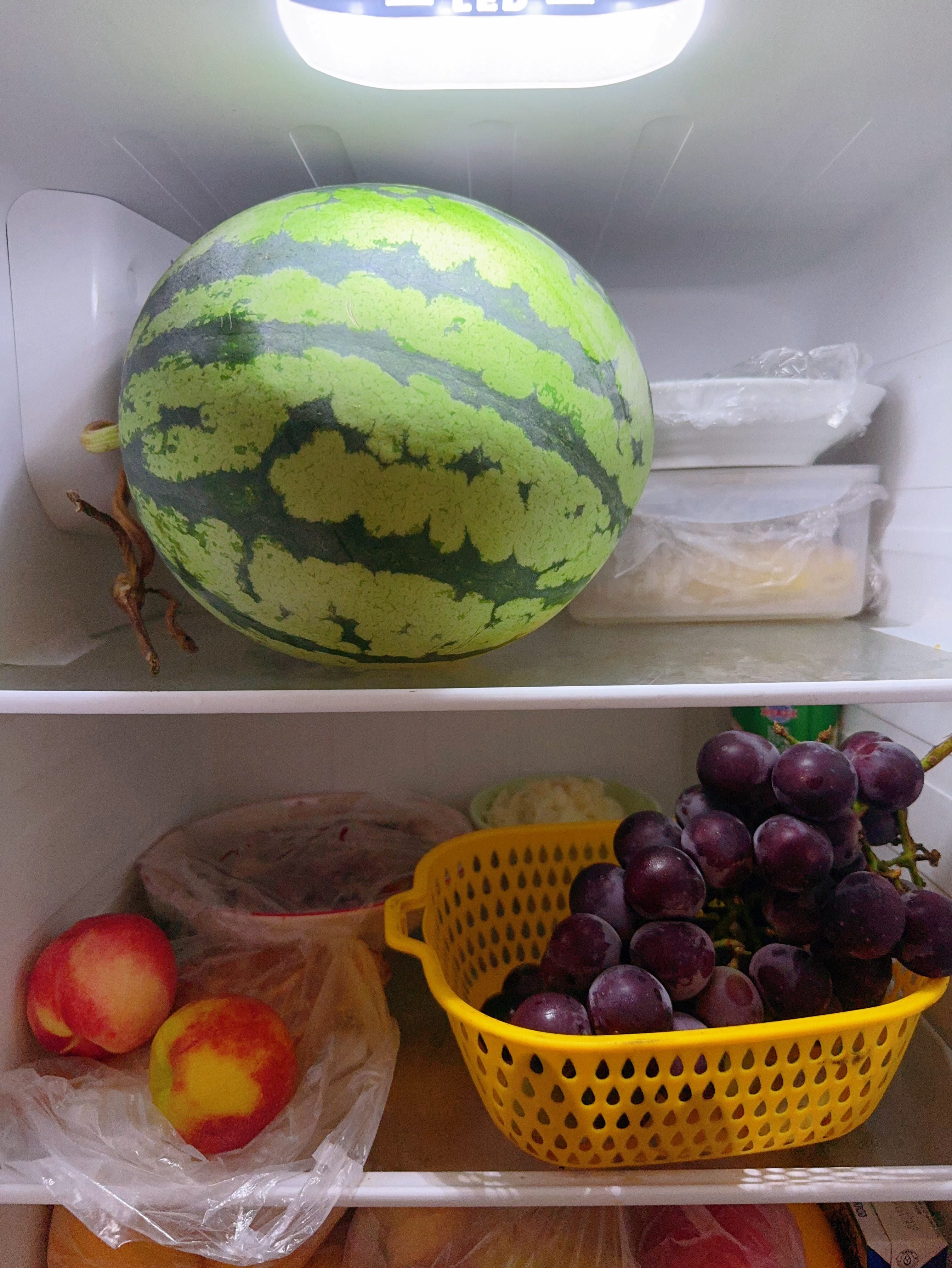 河南西瓜1400斤100元我刚才去超市买的麒麟瓜🍉，2.58/斤。这个西瓜29