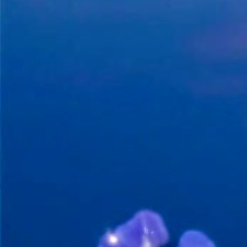 人最宝贵的是生命，生命对人来说只有一次。人的一生应当这样度过：当他回首往事时，不