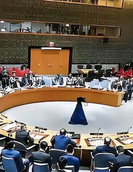 俄罗斯在联合国当场拍案质问美国："谁给你的权力当全球法官？"直接撕下了美国霸权主