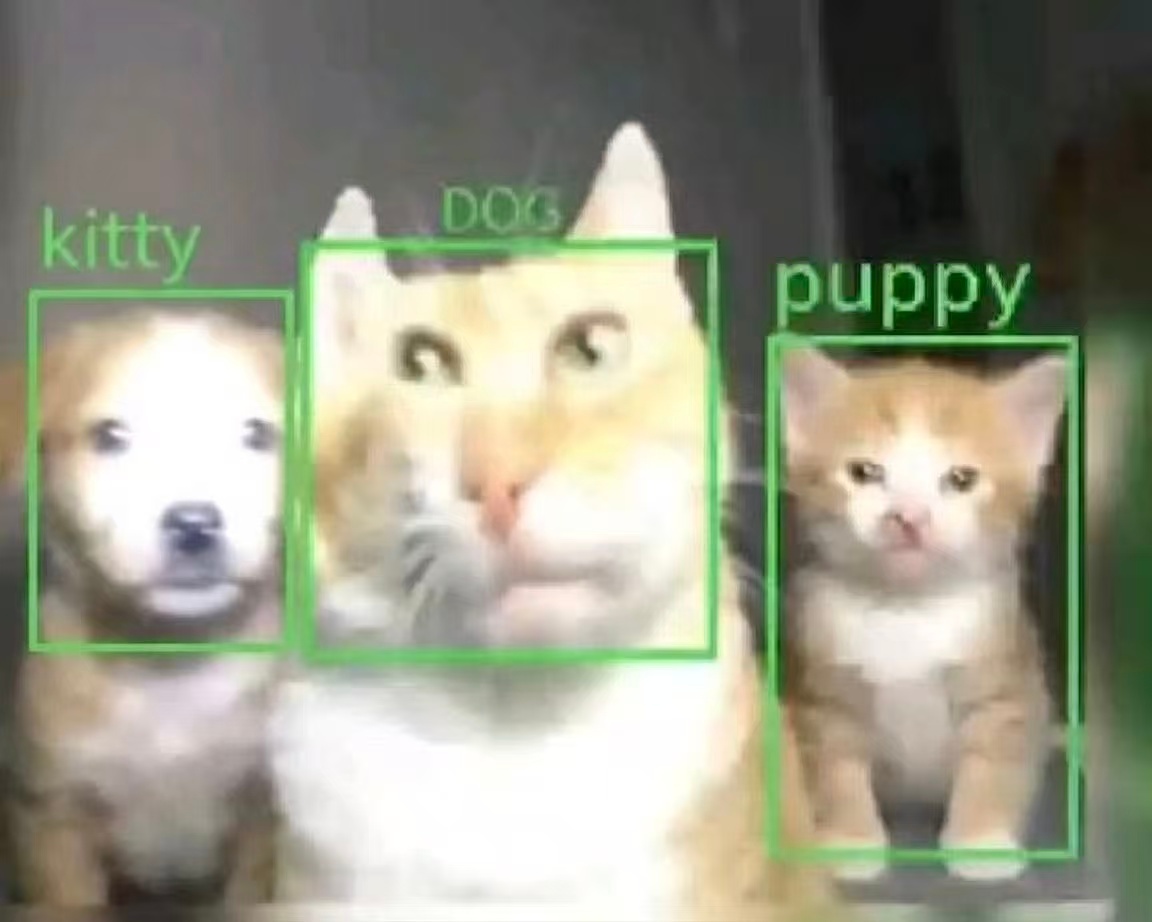 cat_core