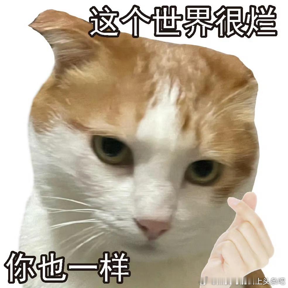 原来工作真的会遇到奇葩领导👻真是小刀拉屁股开了眼了[淡淡的]荒谬，荒谬至极，不