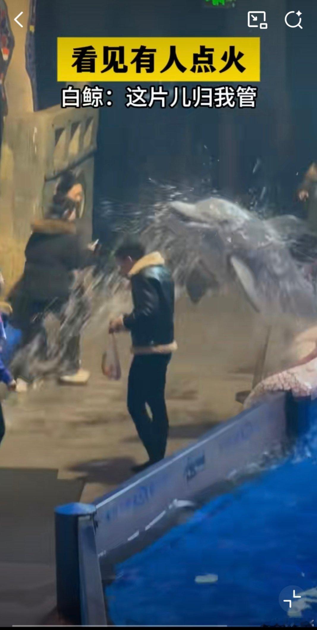 男子海洋馆内抽烟被白鲸喷水有人在水族馆抽烟还不听劝，白鲸直接一个大水柱送他“透心