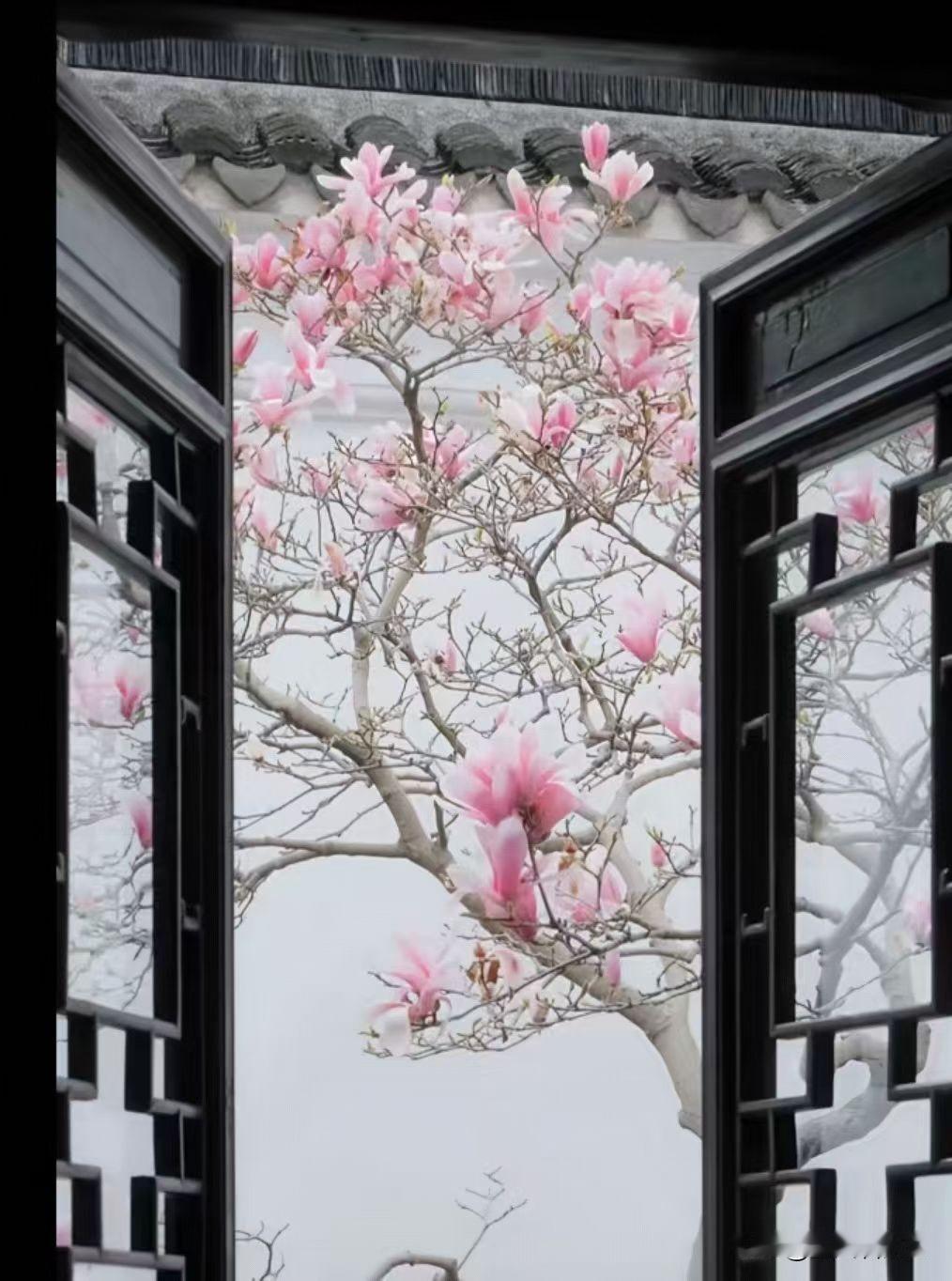 蝶恋花   凭窗惆怅

月洒窗棂无寄处，百转思量，
难掩心头绪。
欲寄鳞鸿何处去