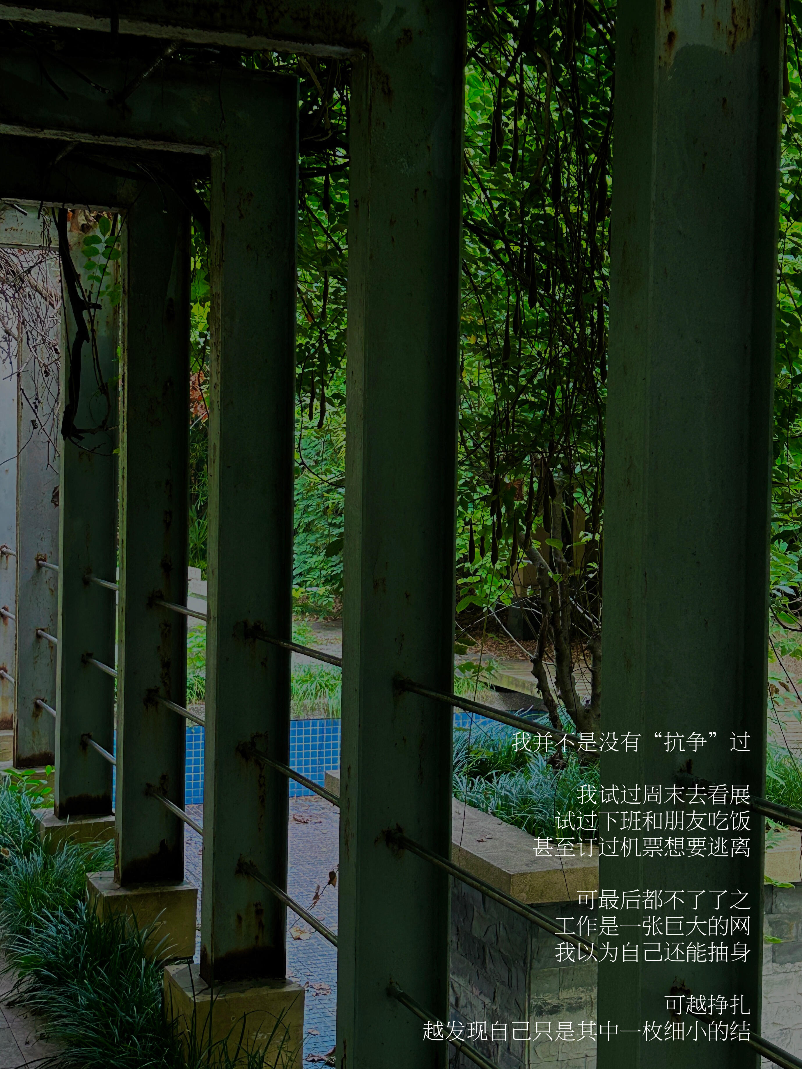 后来，工作占据了我整个生活。 