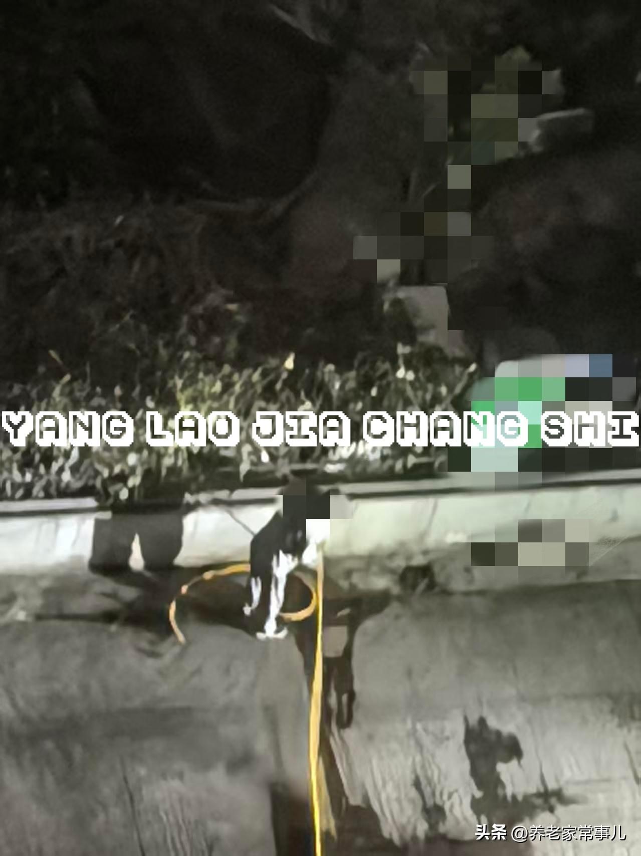 给东北人丢脸！跑到海南养老，晚上偷水浇菜地

海南一过10月就几乎不下雨，冬天暖