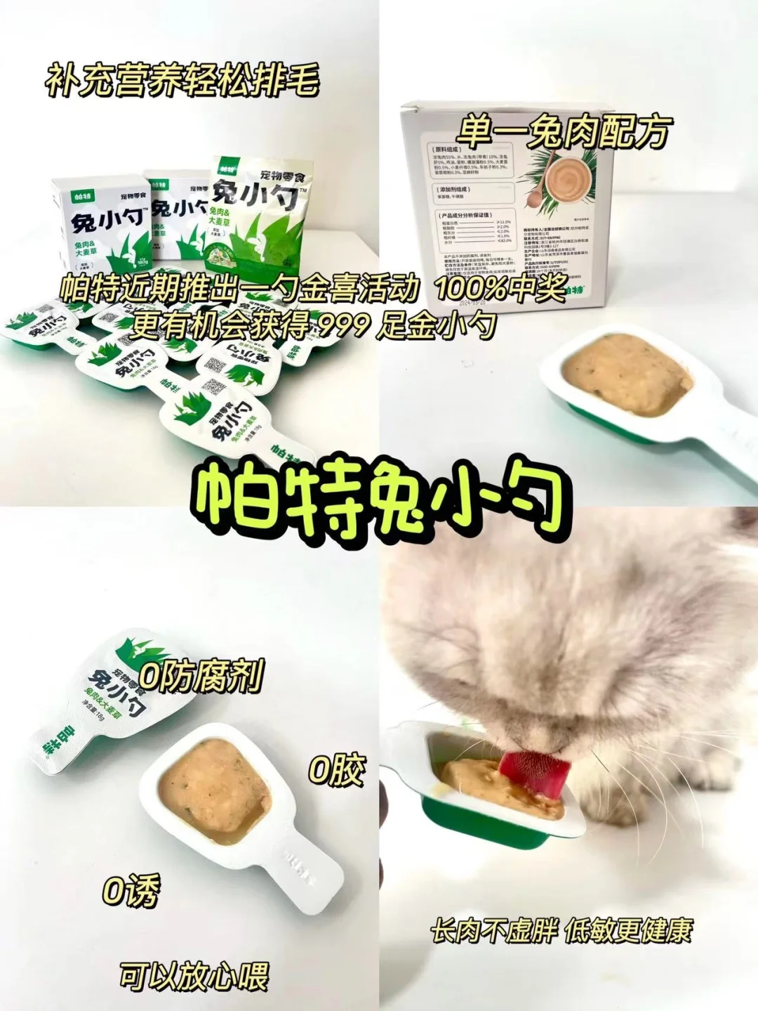 新手闭眼入|一站式带你解决猫猫吃喝问题