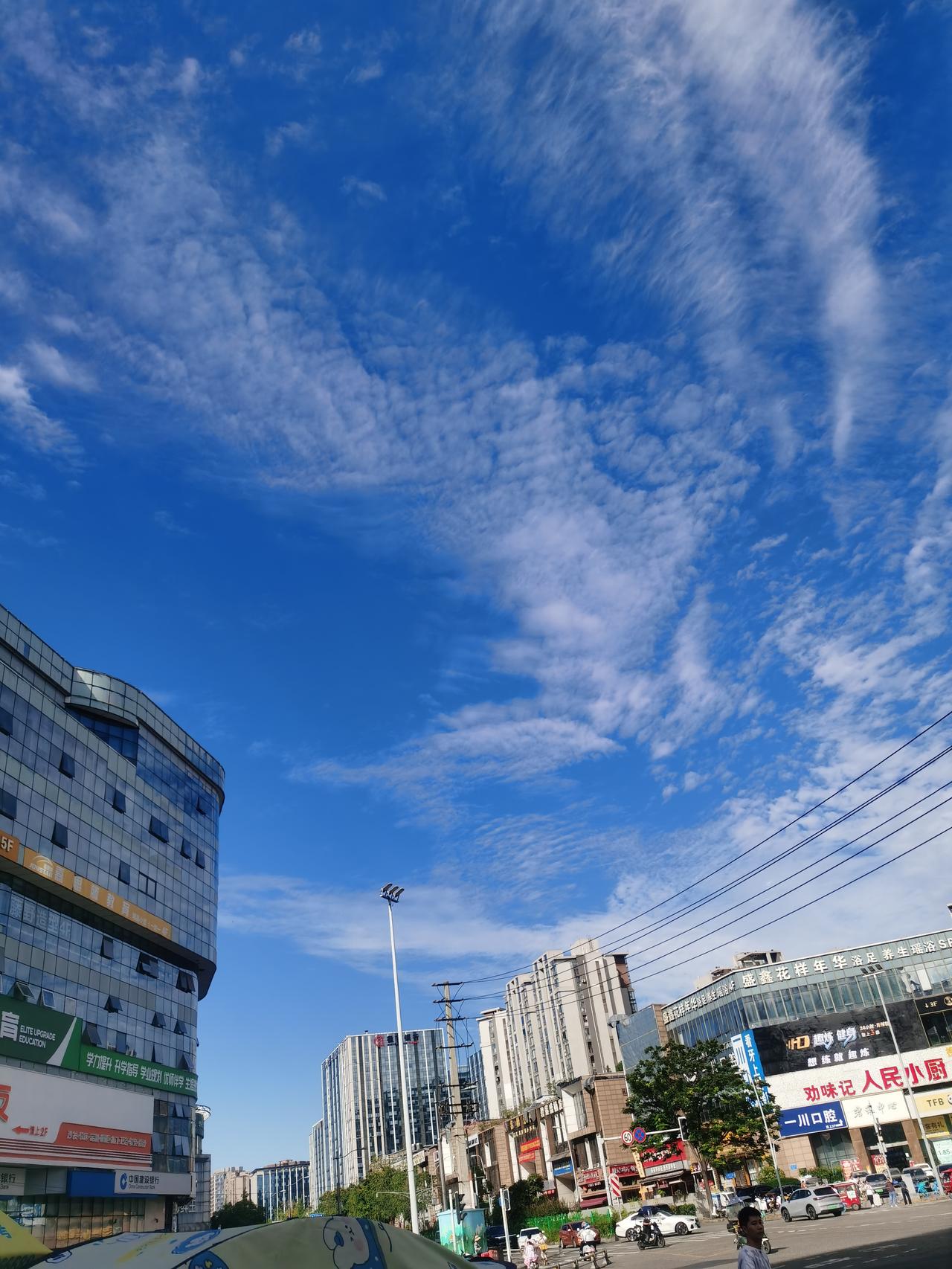 上班久了才发现，
在单位里，
越是人品好、越是正直的人，
越容易被打压、被边缘化