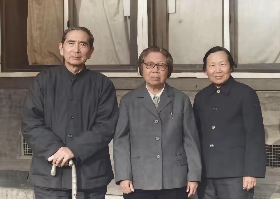 我敢打赌！能认出这三位里两位名字的，妥妥当上爷爷奶奶了