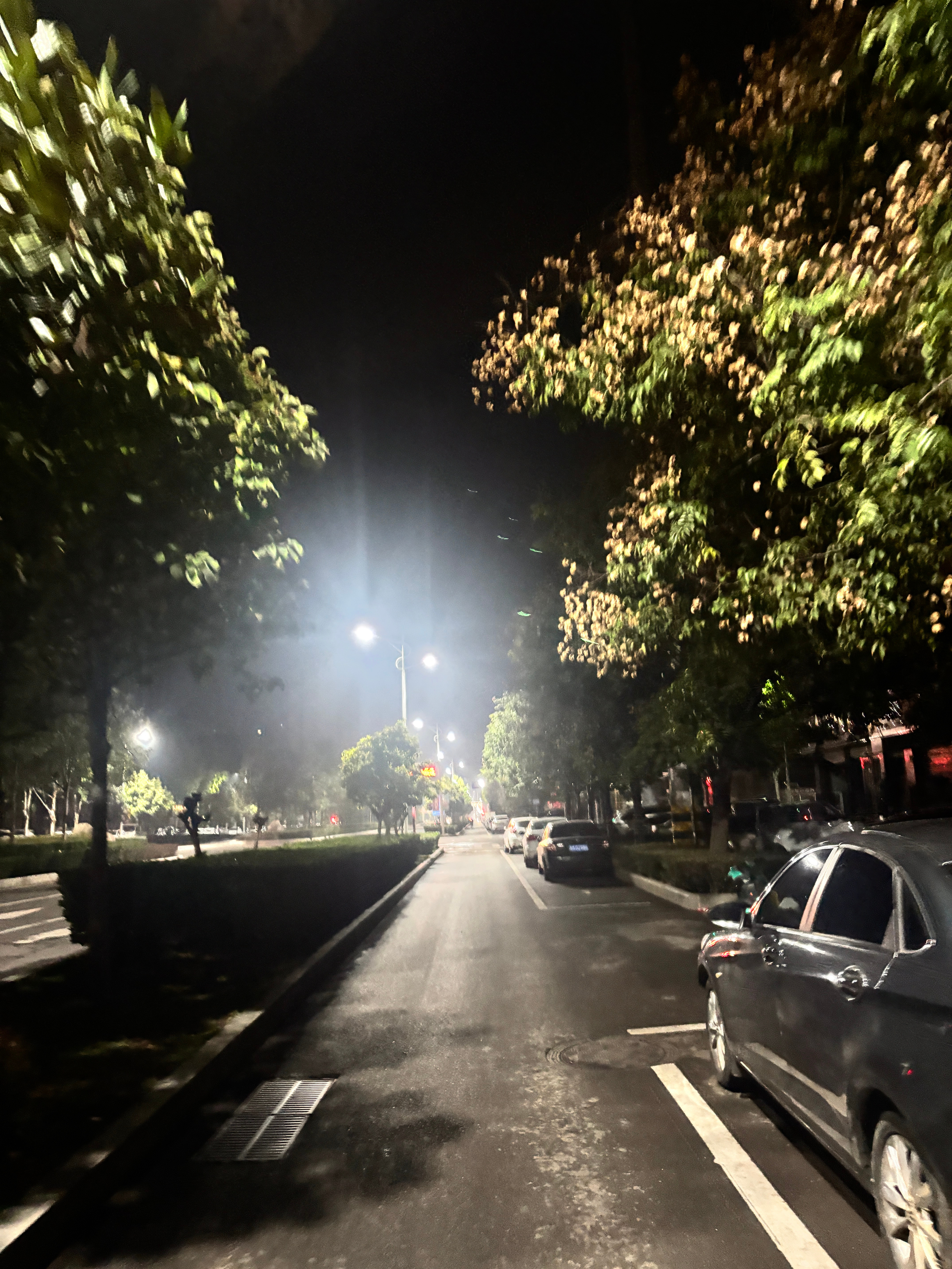 跑步[超话]  路灯作伴晨跑10公里萨门开跑运动就是坚持即刻开跑 ​​​