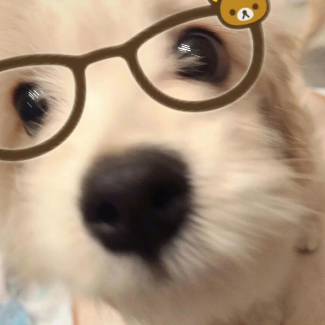 ^⎚˕⎚^ 眼镜小狗 