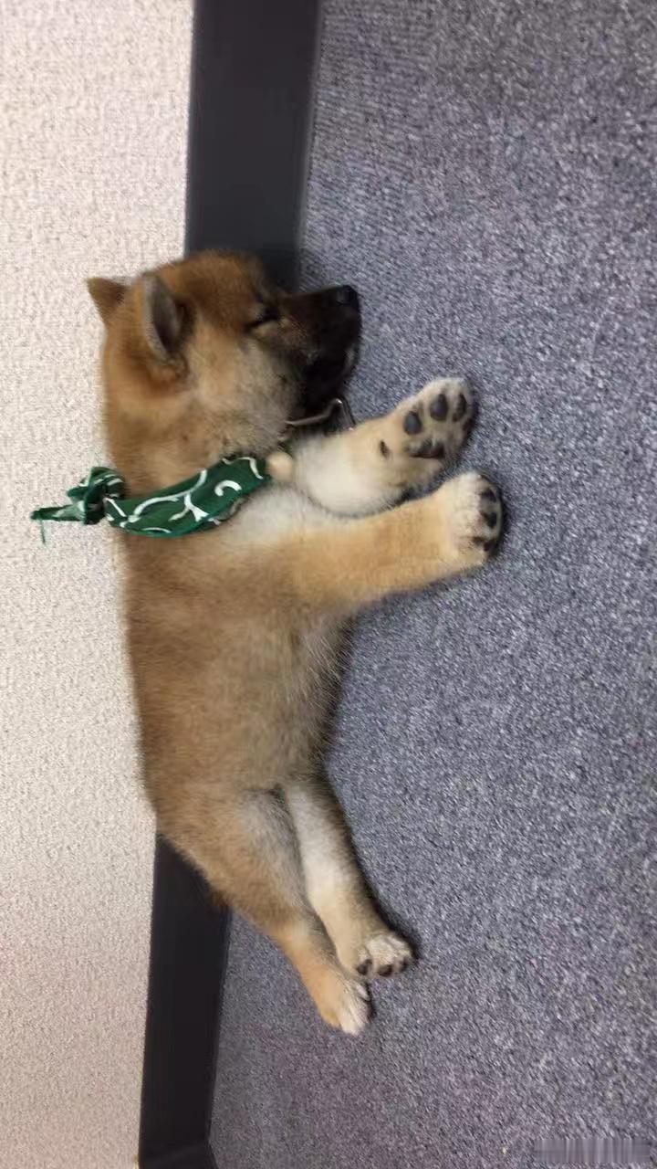 十年～ 