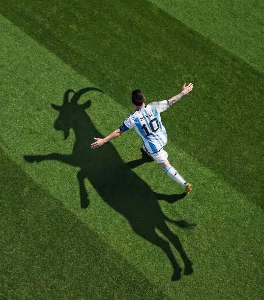 🇦🇷梅西是GOAT...🐐🇵🇹C罗是“BOAT”...🛶梅西[超话]