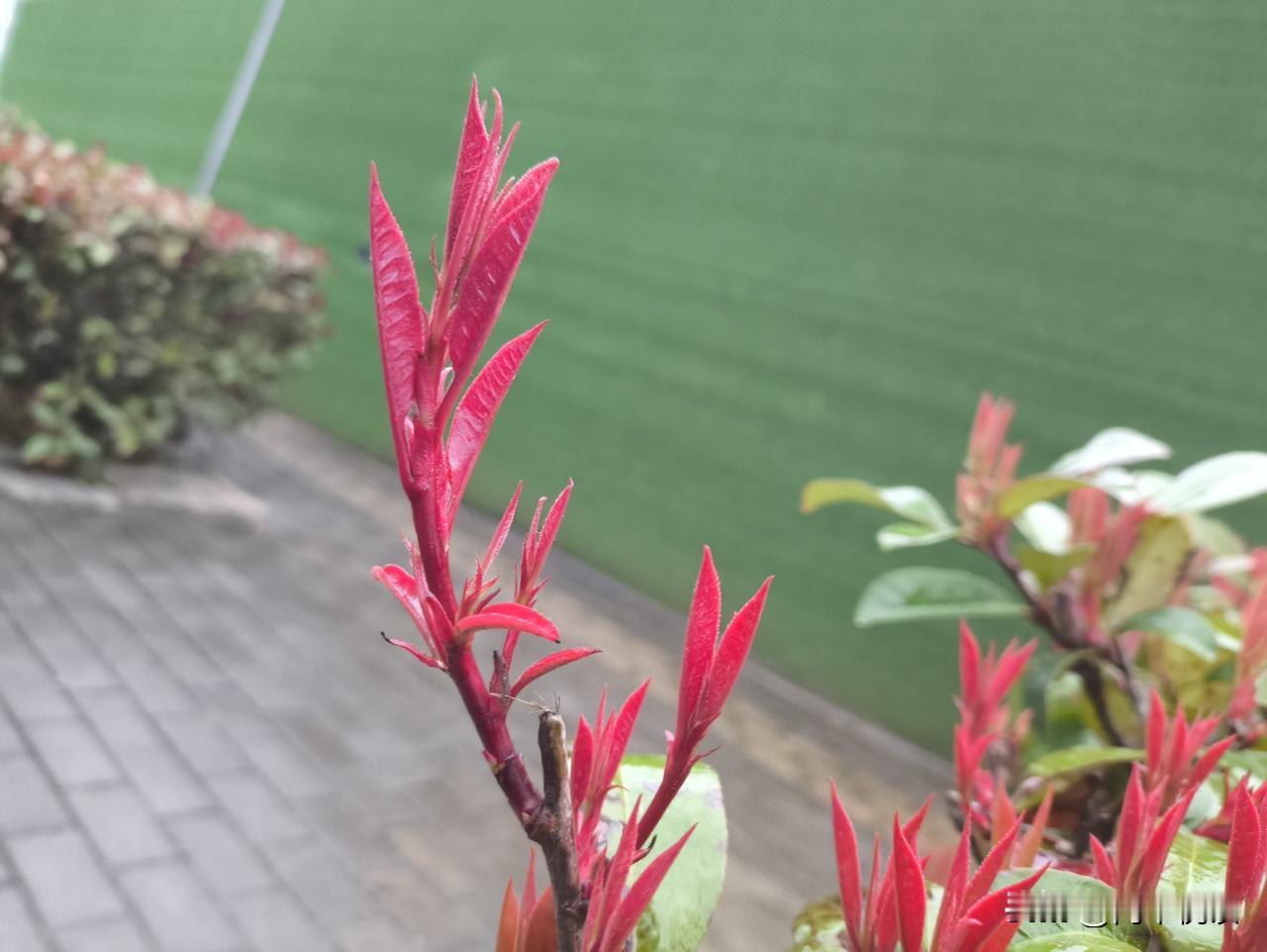 我认为理科
这个问题本身就暗含了一个值得拆解的陷阱——它预设了“文科”和“理科”