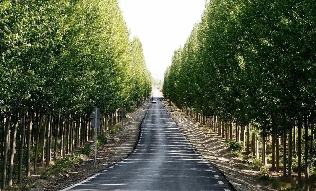 在路上·默斋主人原创自由诗不必认领沿途每段风景壮阔也好，残破也罢脚步随时可以停下