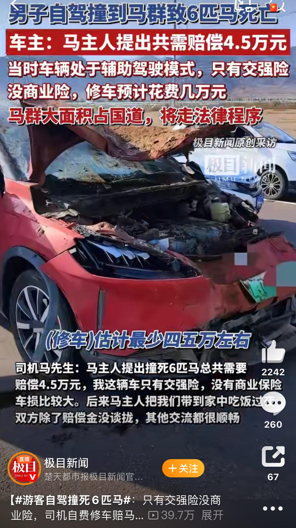 看到那个在新疆自驾游撞死6匹马的新闻了吗？真的让人心里挺不是滋味的。一位从河南来