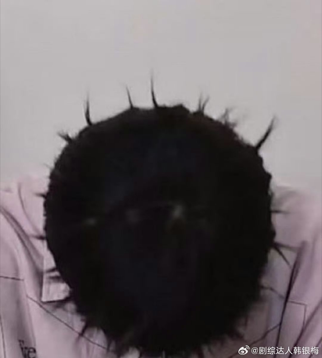 梓渝海胆头梓渝这个采访的发型真的很像一个海胆，和吴所畏性格一样都是炸毛，可可爱爱