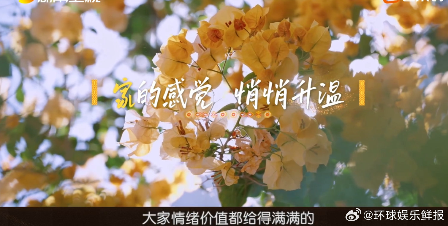 中餐厅[超话]中餐厅直播摩洛哥的故事还在继续，中餐厅下半场家人般的群像，永远是这