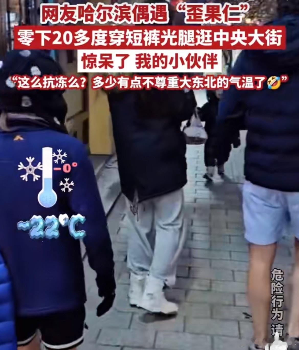 哈尔滨零下20℃外国游客光腿穿短裤看来哪都有显眼包外果人也不例外！