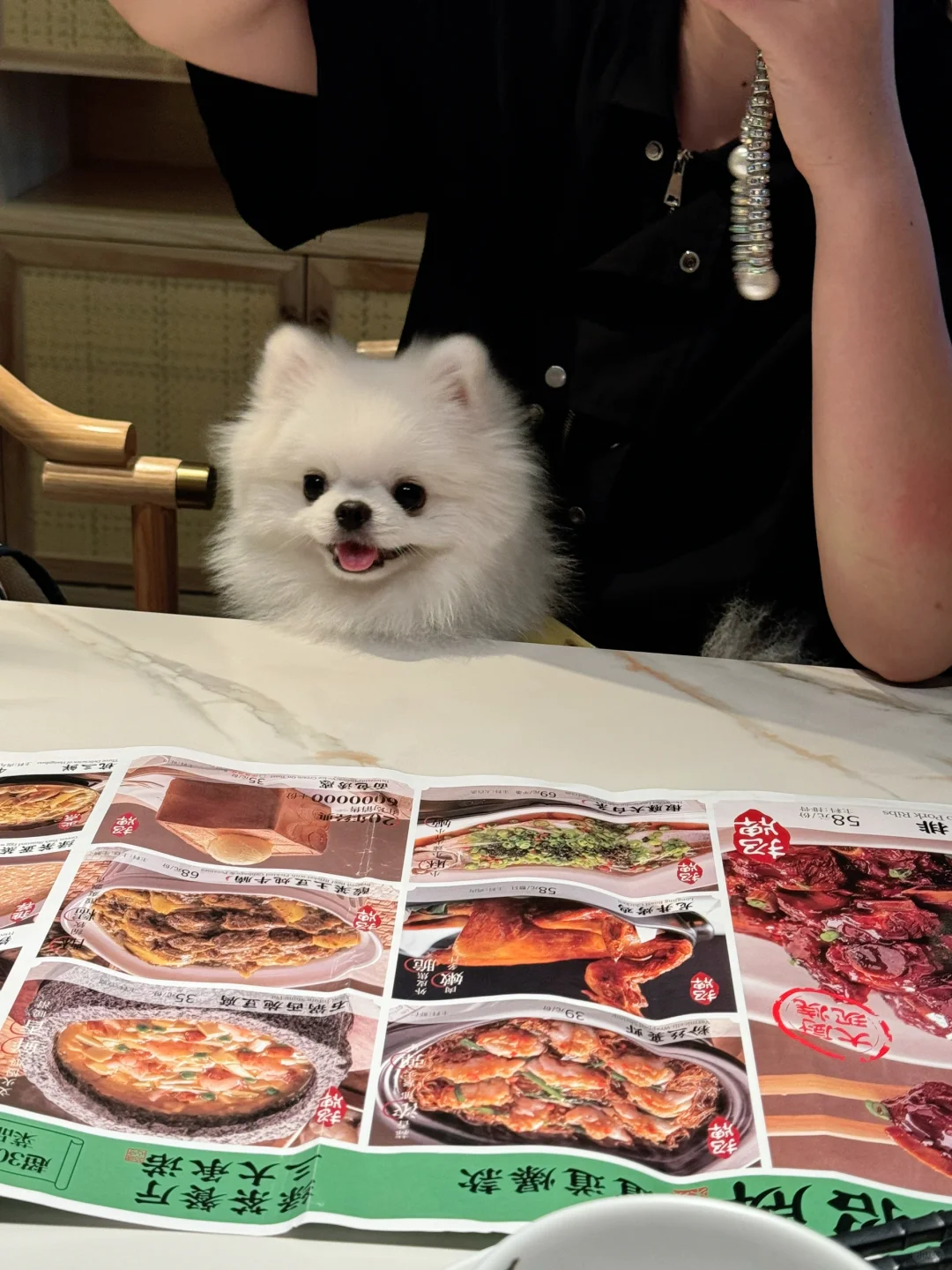 隔壁桌的小狗🐶