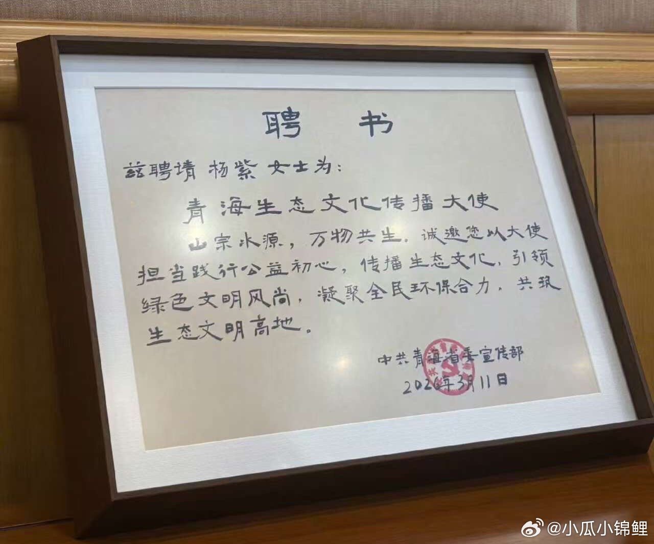 杨紫青海生态文化传播大使恭喜杨紫被聘请为青海生态文化传播大使 